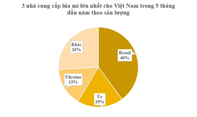 Ukraine gửi đến Việt Nam 'báu vật' thế giới đang lên cơn khát: Nhập khẩu tăng hơn 700%, Việt Nam gần như không trồng được - Ảnh 3
