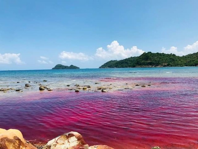 Cảnh tượng chưa từng có xuất hiện ở biển Phú Quốc từ trưa qua đến hôm nay - Ảnh 1