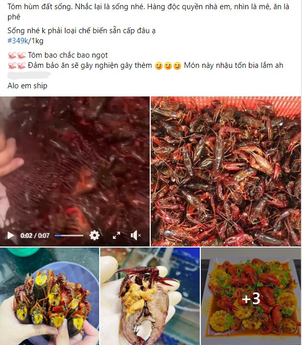 Bất chấp bị cấm, sinh vật ngoại lai từ Trung Quốc vẫn ngập chợ mạng, giao tận cửa cho khách Việt giá 400 nghìn một cân - Ảnh 2