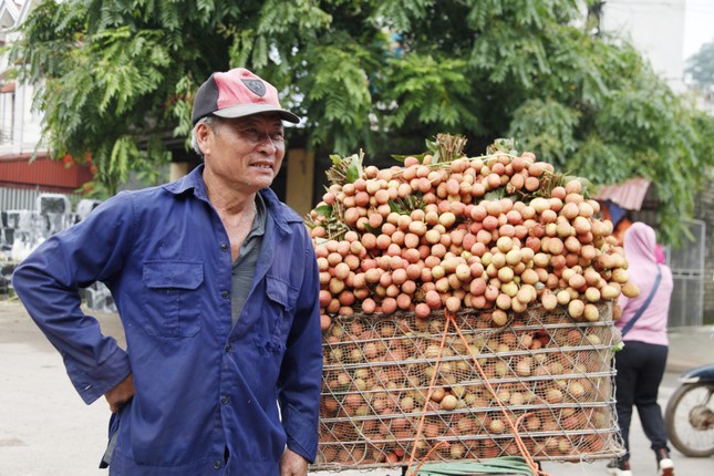 Kẻ khóc, người cười mùa vải thiều - Ảnh 2