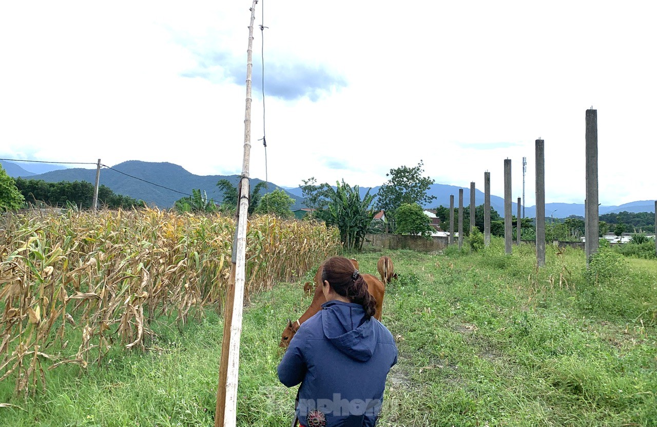 Cỏ dại mọc um tùm tại dự án sản xuất, lắp ráp xe hơn 55 tỷ đồng - Ảnh 9