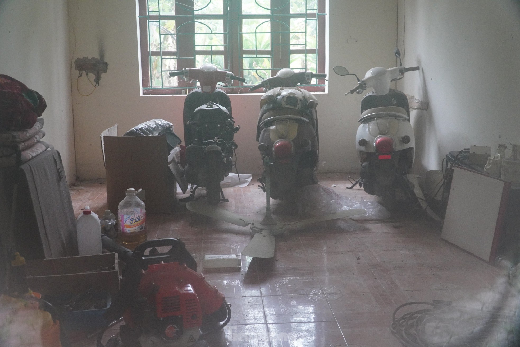 Cỏ dại mọc um tùm tại dự án sản xuất, lắp ráp xe hơn 55 tỷ đồng - Ảnh 10