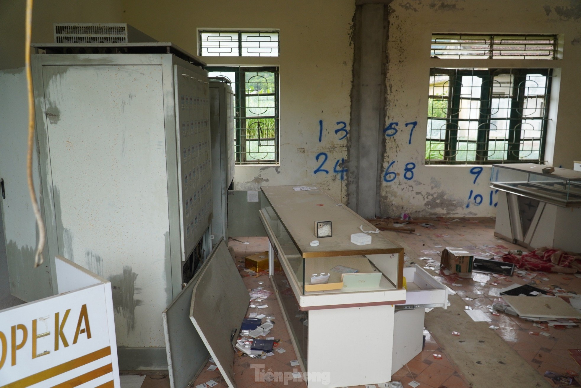 Cỏ dại mọc um tùm tại dự án sản xuất, lắp ráp xe hơn 55 tỷ đồng - Ảnh 7