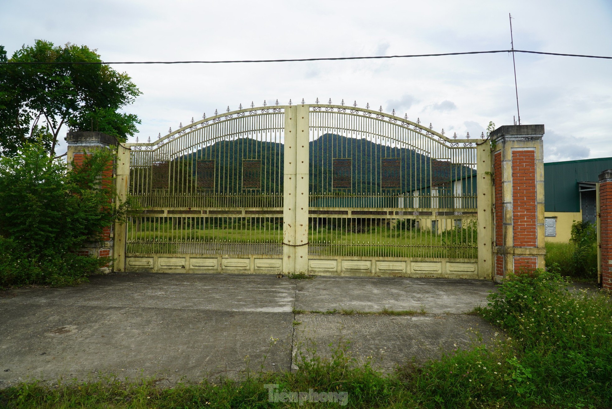 Cỏ dại mọc um tùm tại dự án sản xuất, lắp ráp xe hơn 55 tỷ đồng - Ảnh 2