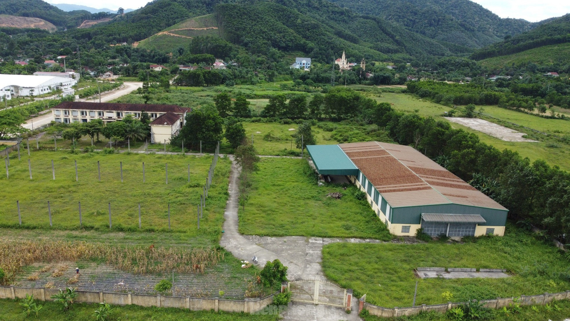 Cỏ dại mọc um tùm tại dự án sản xuất, lắp ráp xe hơn 55 tỷ đồng - Ảnh 3