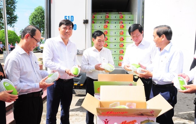 Lô xoài tượng da xanh đầu tiên của Cần Thơ xuất Mỹ, Úc - Ảnh 1