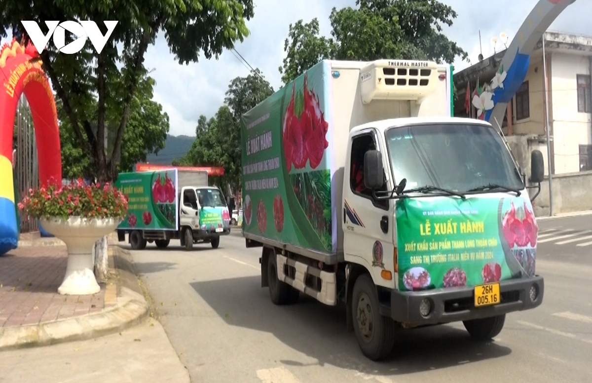 Sơn La xuất khẩu thanh long ruột đỏ sang thị trường Italia - Ảnh 1