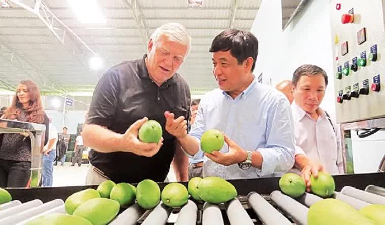 Xuất khẩu trái cây: 80% là hàng tươi, có đáng lo? - Ảnh 1