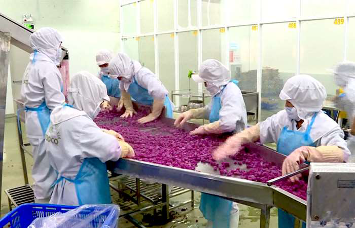 Nửa đầu năm, sản xuất khởi sắc, xuất khẩu tăng trưởng ấn tượng - Ảnh 2