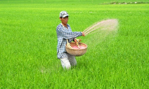 Việt Nam chi gần 682 triệu USD để nhập phân bón - Ảnh 1