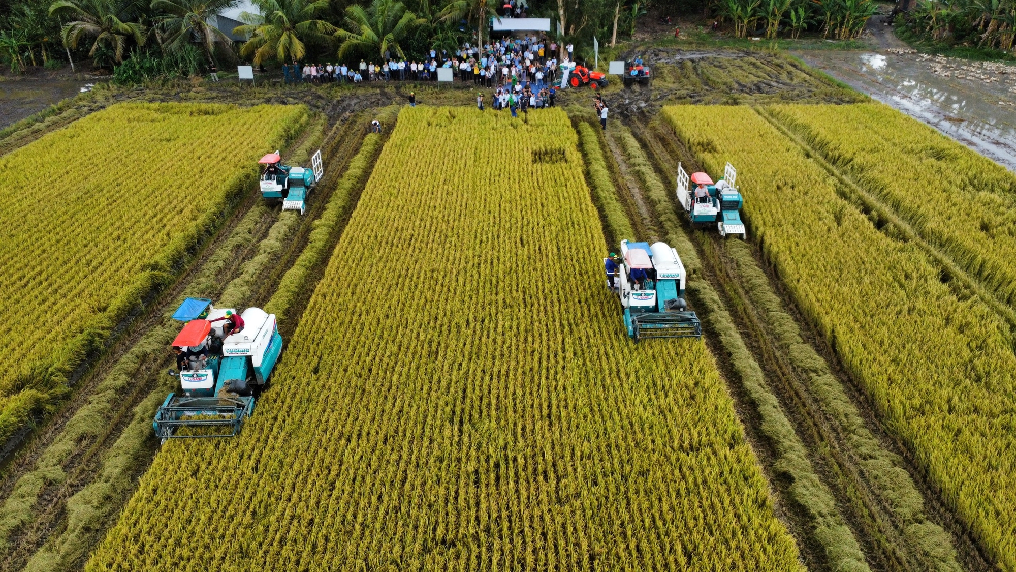 Xuất khẩu gạo có tiếp tục lập kỷ lục? - Ảnh 1