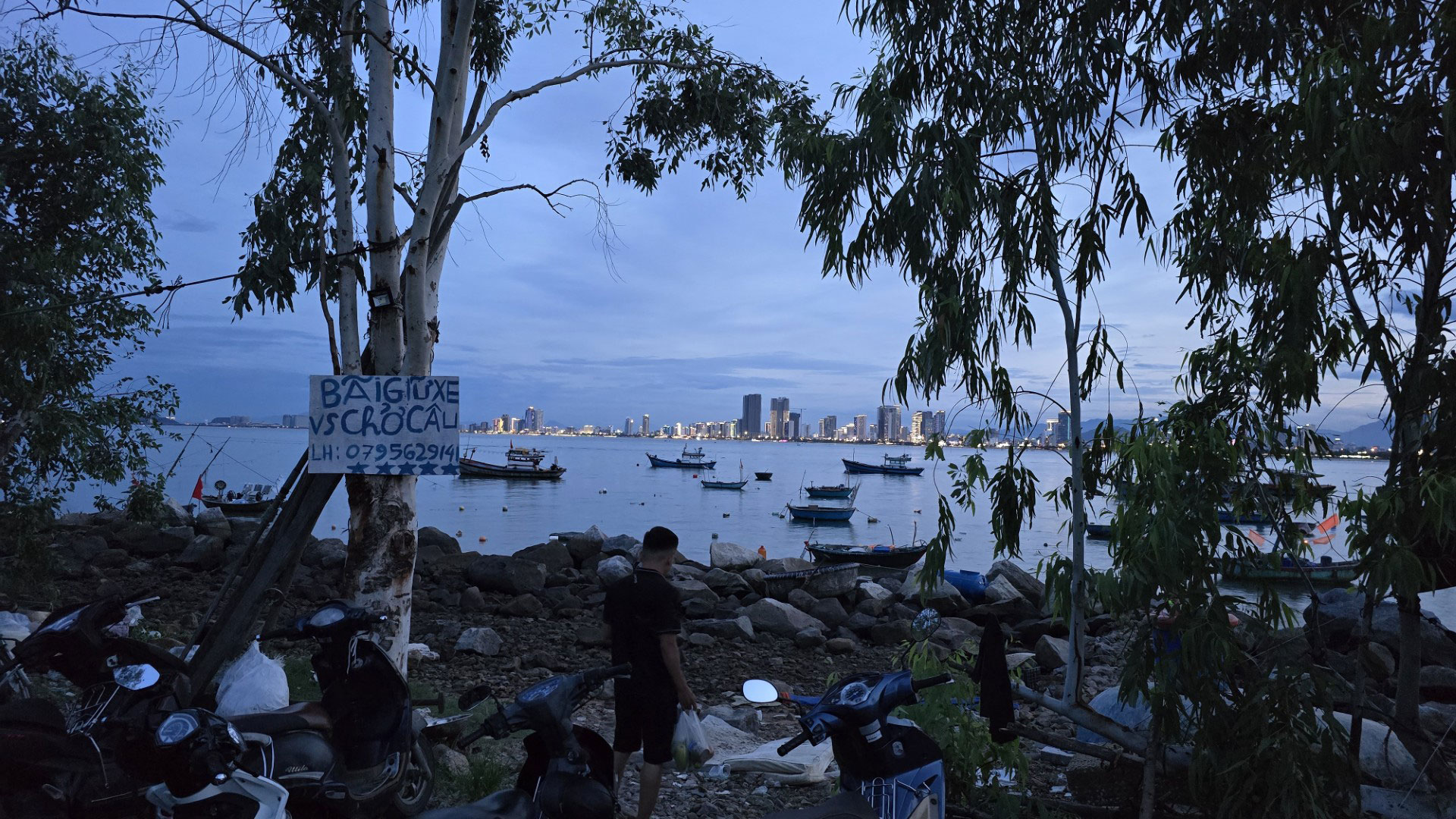 Nở rộ tour câu mực "chui" ở bán đảo Sơn Trà - Ảnh 3