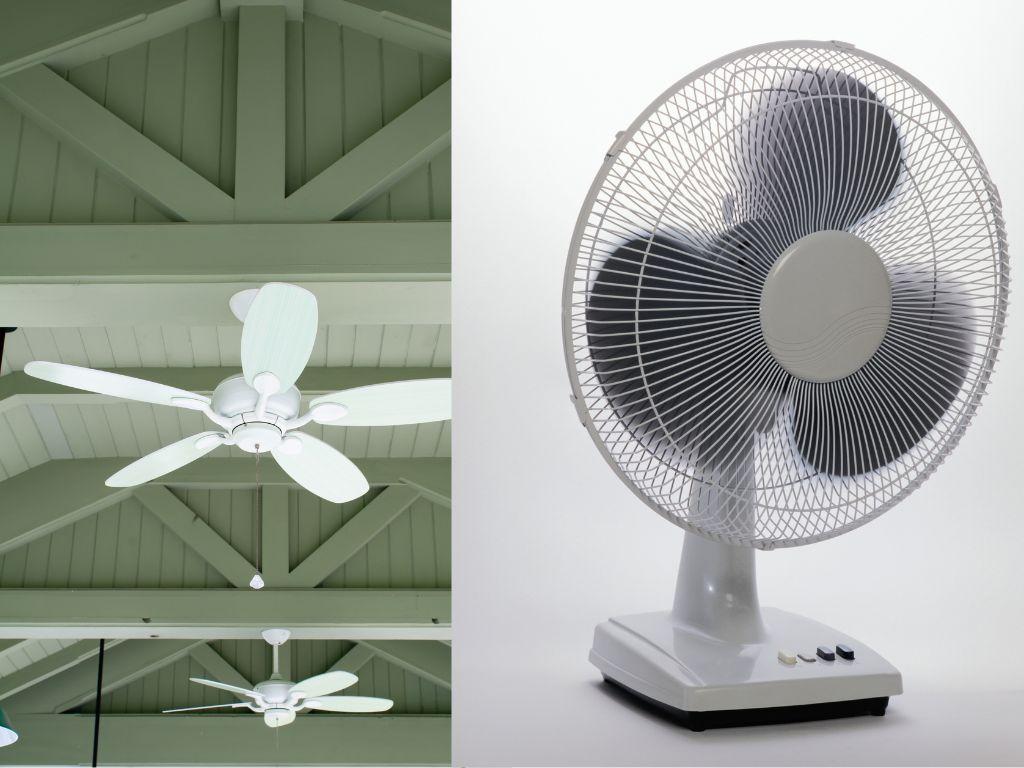 Quạt trần có tốn điện hơn quạt cây không? Thì ra bấy lâu nay nhiều người hiểu sai - Ảnh 6
