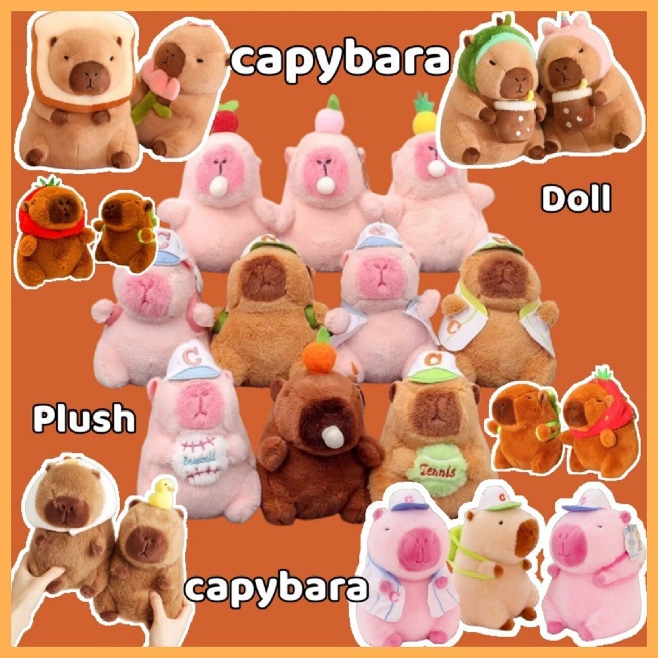 Vì sao chuột Capybara được giới trẻ Việt săn lùng, mê điên đảo? - Ảnh 10