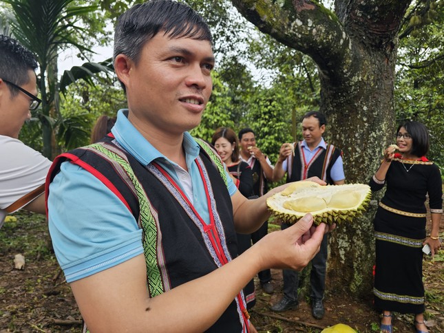 Hàng nghìn nông dân đổi đời, mua ô tô nhờ sầu riêng - Ảnh 3