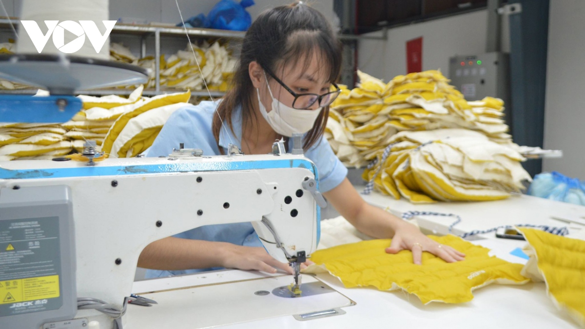 Một số mặt hàng xuất khẩu có khả năng bị Indonesia áp thuế phòng vệ thương mại - Ảnh 1