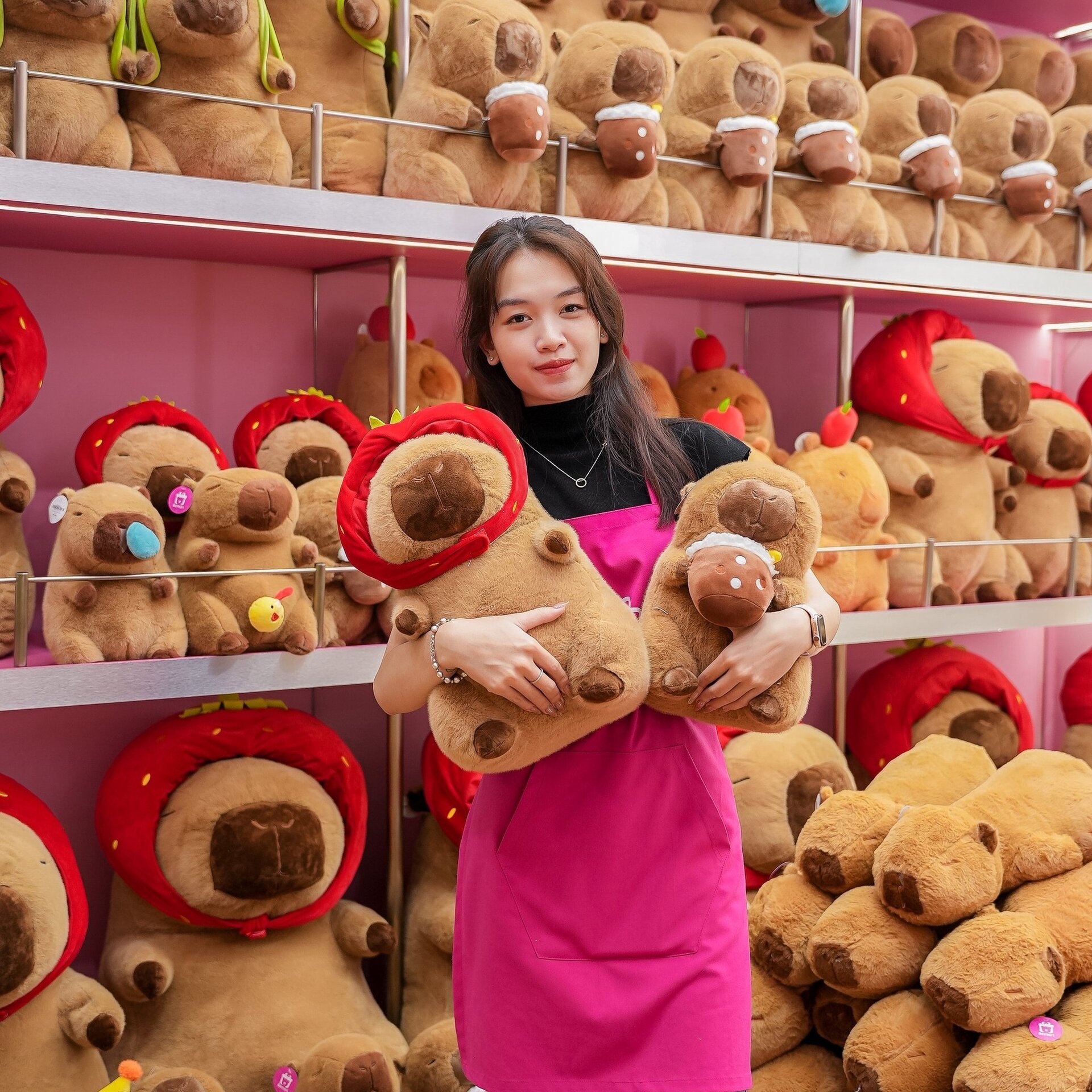 Vì sao chuột Capybara được giới trẻ Việt săn lùng, mê điên đảo? - Ảnh 9