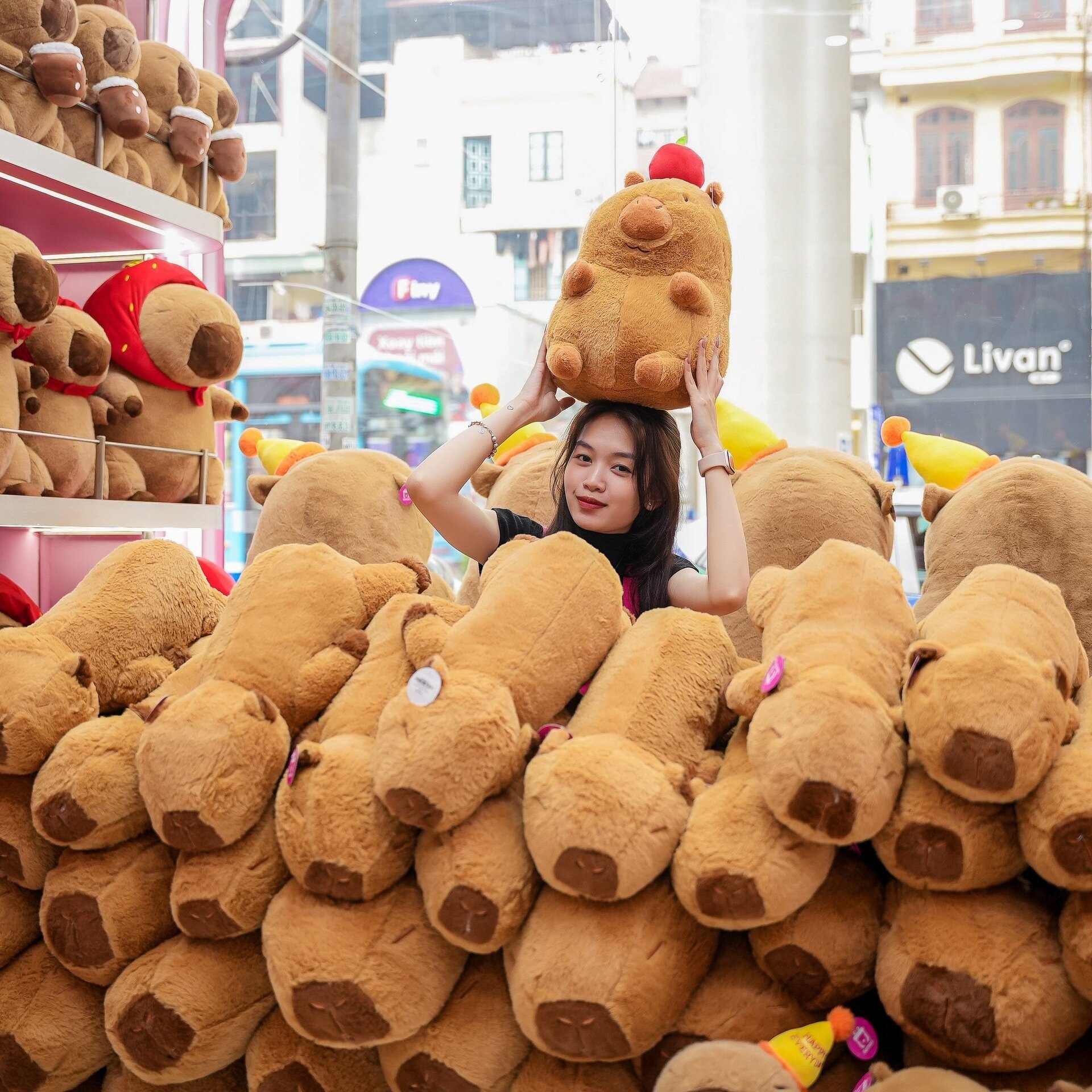 Vì sao chuột Capybara được giới trẻ Việt săn lùng, mê điên đảo? - Ảnh 6