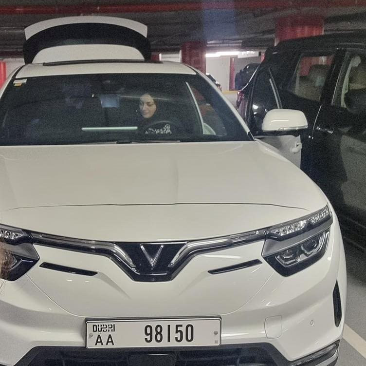 Tàu Silver Queen chở lô xe VinFast cập cảng Dubai, sẵn sàng giao xe cho giới nhà giàu UAE? - Ảnh 3