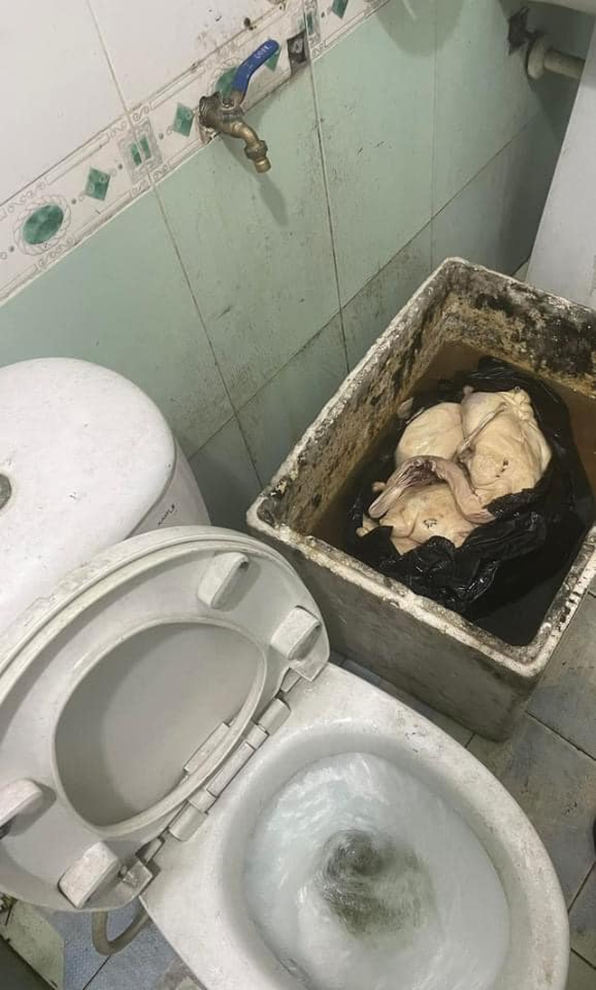 Quán vịt quay siêu bẩn, giòi bò lúc nhúc ở Quảng Ninh bị CA tới kiểm tra trực tiếp: Kết quả ra sao? - Ảnh 4