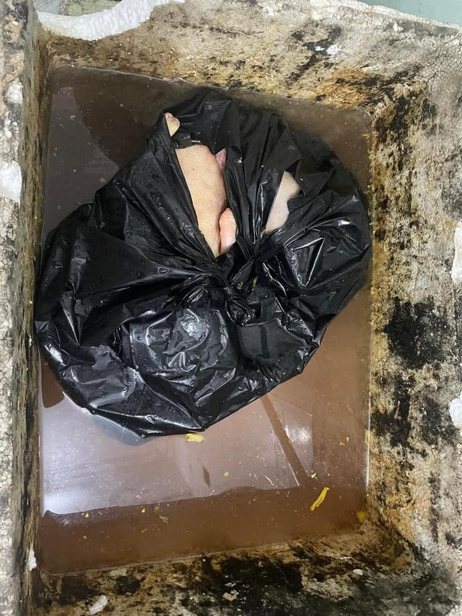 Quán vịt quay siêu bẩn, giòi bò lúc nhúc ở Quảng Ninh bị CA tới kiểm tra trực tiếp: Kết quả ra sao? - Ảnh 2