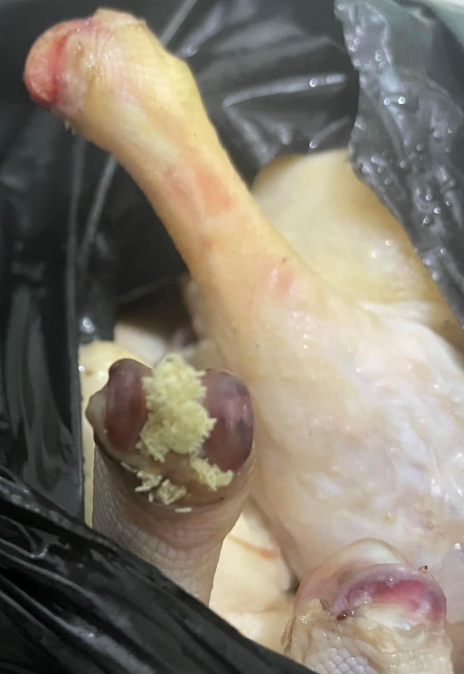 Quán vịt quay siêu bẩn, giòi bò lúc nhúc ở Quảng Ninh bị CA tới kiểm tra trực tiếp: Kết quả ra sao? - Ảnh 3