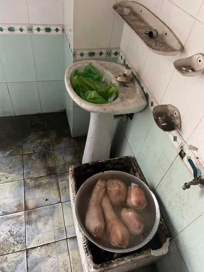 Quán vịt quay siêu bẩn, giòi bò lúc nhúc ở Quảng Ninh bị CA tới kiểm tra trực tiếp: Kết quả ra sao? - Ảnh 1