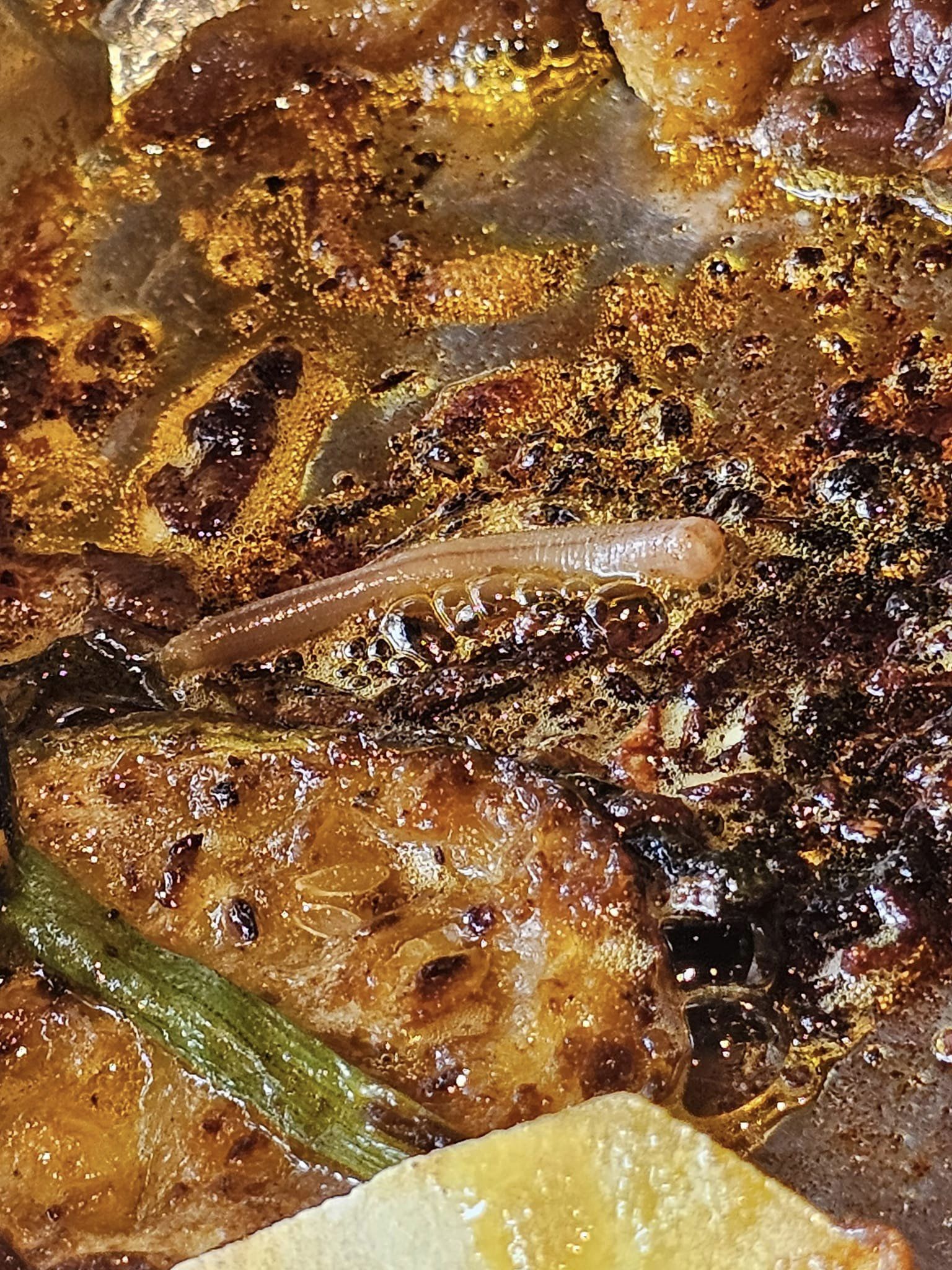 "Sinh vật lạ" trong món lòng nướng khiến vị thực khách ám ảnh cả đêm: Cư dân mạng phản ứng bất ngờ - Ảnh 3