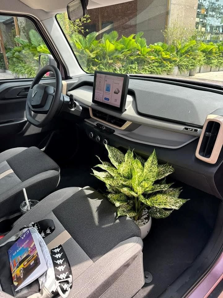 VinFast VF 3 màu tím lộ diện cực đẹp ngoài đời thực, có một thay đổi lớn! - Ảnh 5