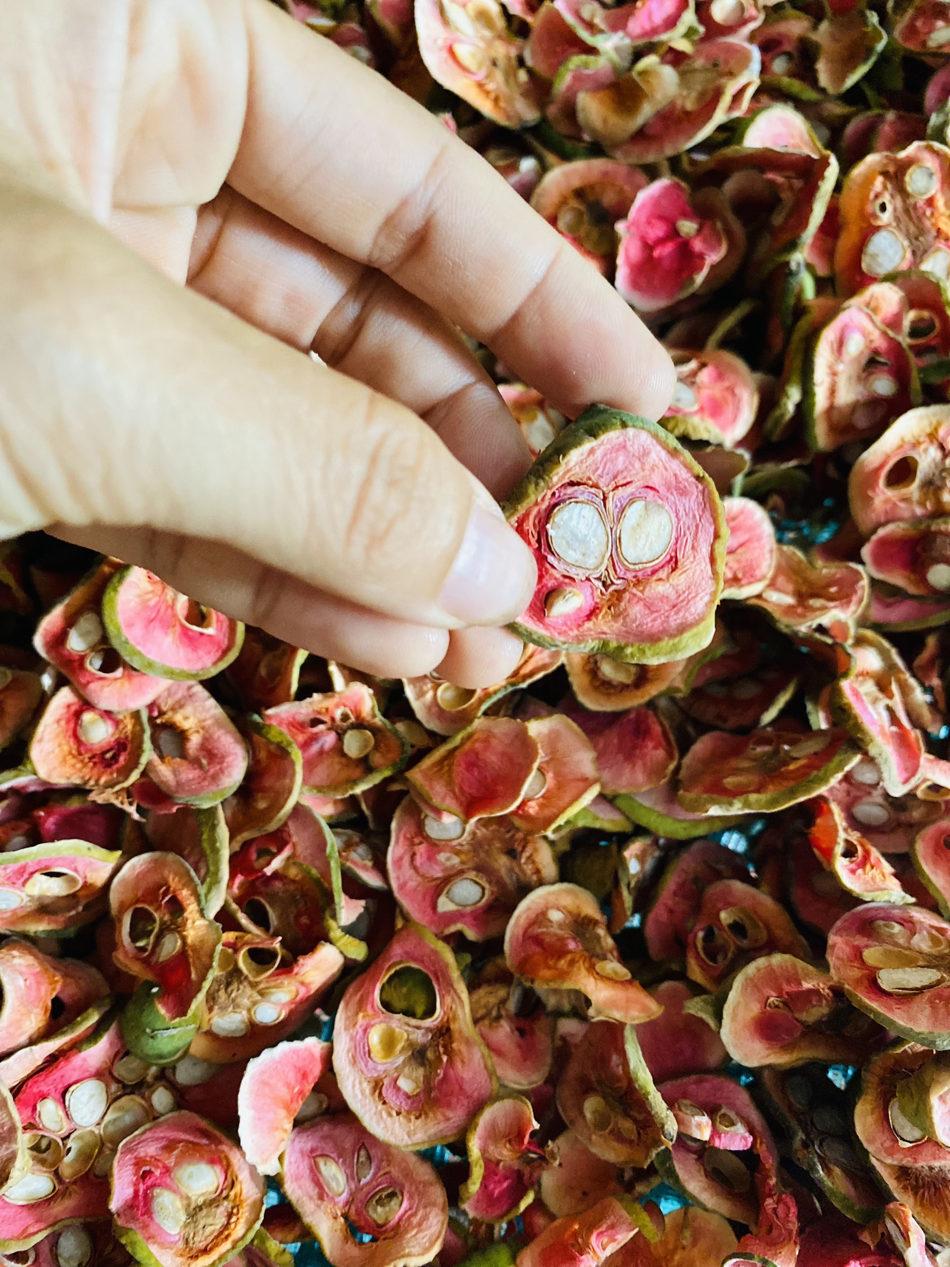 Loại quả có múi như mít nhưng kích cỡ "tí hon", xưa rụng đầy sân giờ thành đặc sản khó tìm - Ảnh 7