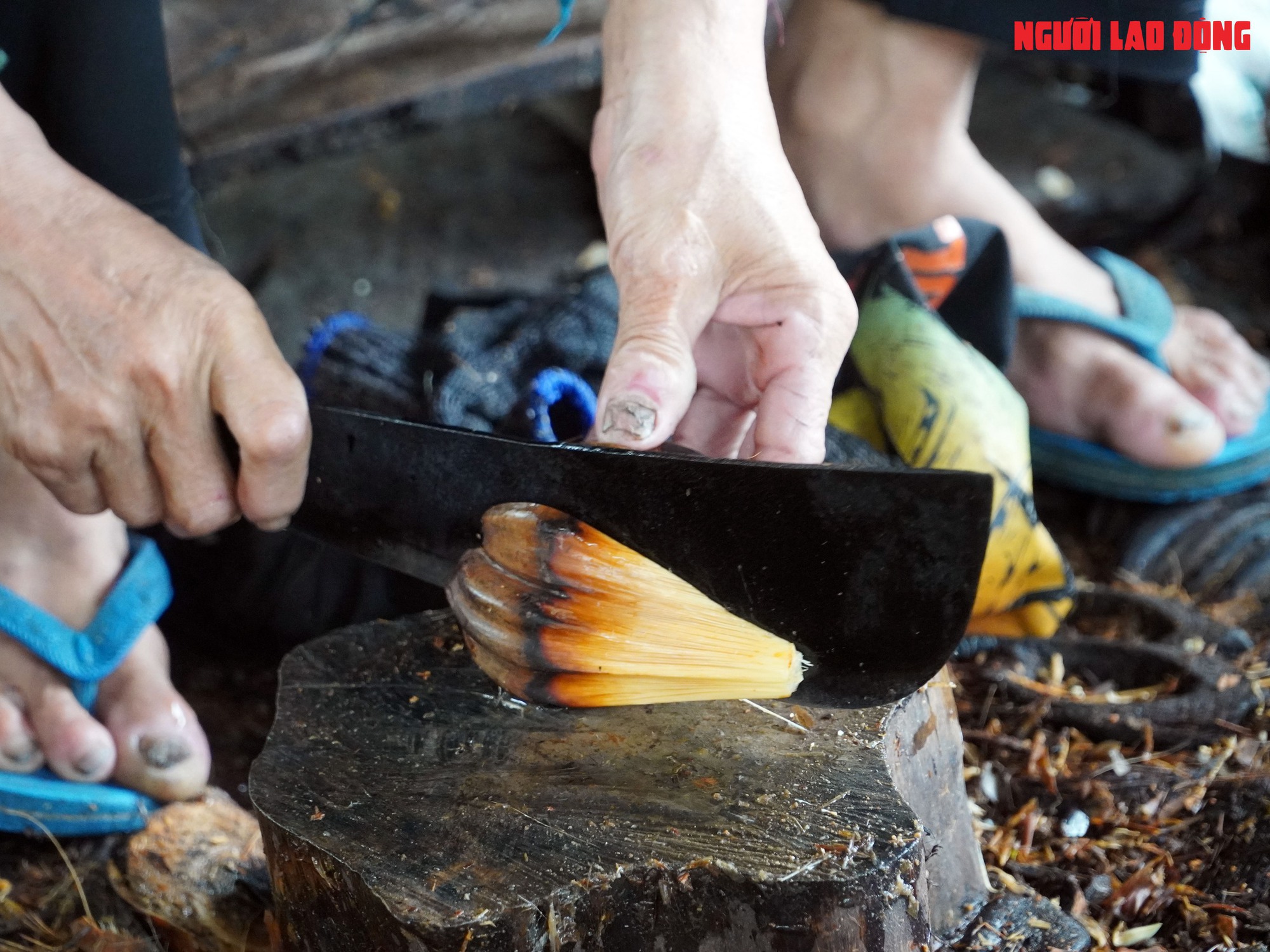 Loại trái từng bỏ đi, giờ đem về tiền triệu cho người miền Tây - Ảnh 14