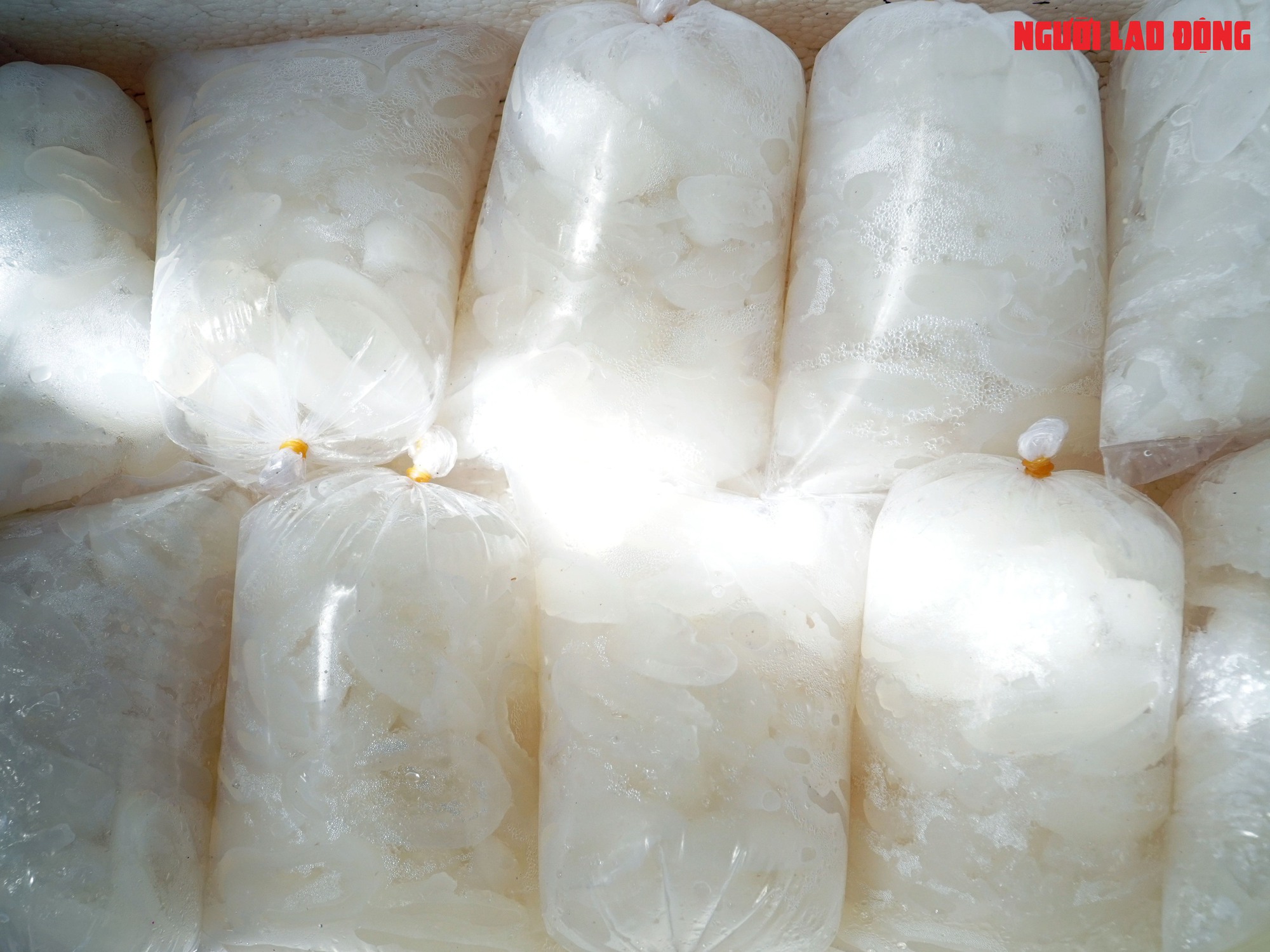 Loại trái từng bỏ đi, giờ đem về tiền triệu cho người miền Tây - Ảnh 18