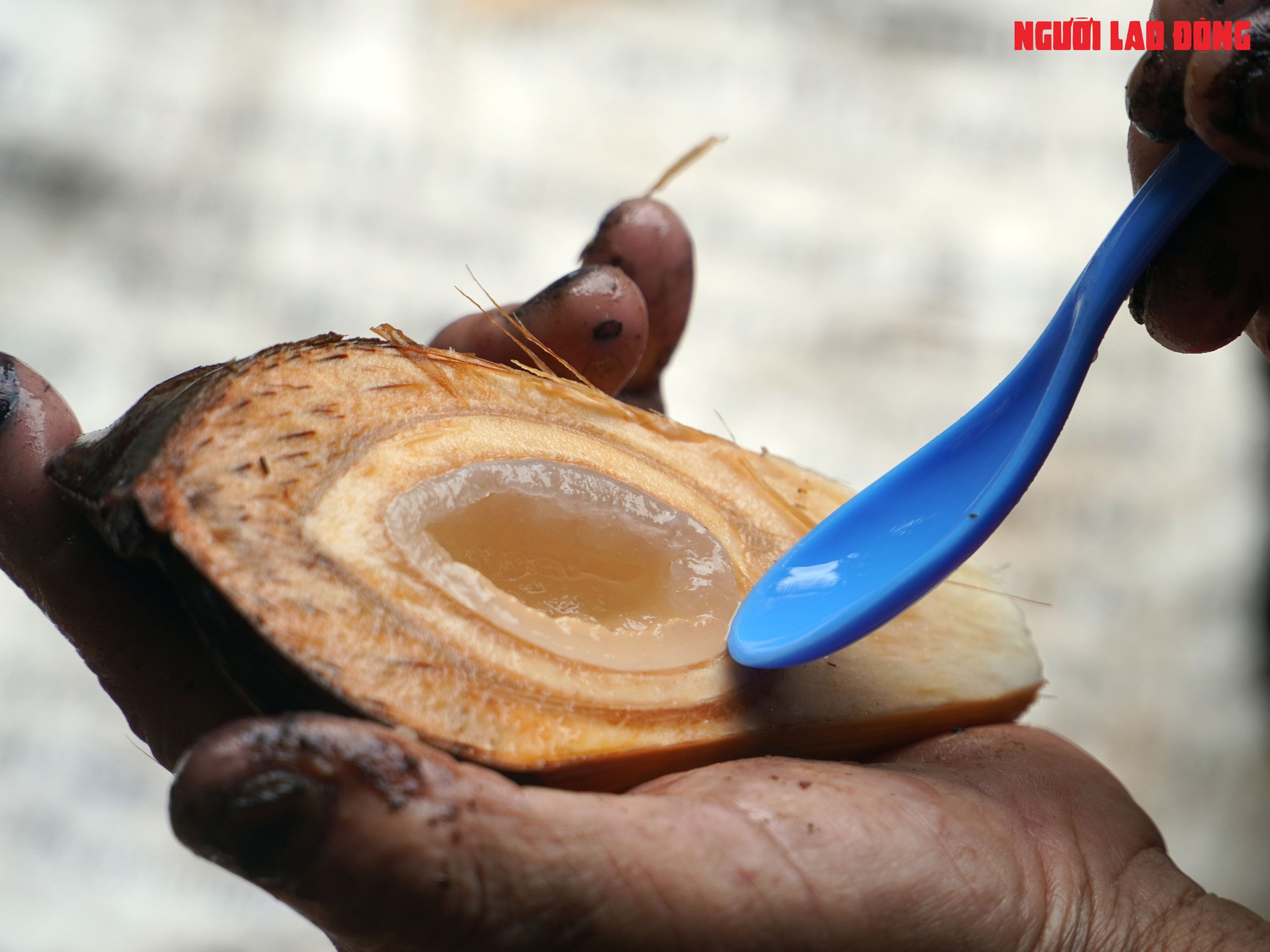 Loại trái từng bỏ đi, giờ đem về tiền triệu cho người miền Tây - Ảnh 9