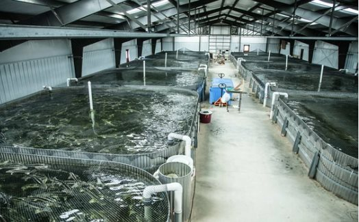 Trung Quốc sở hữu một kho báu dưới nước bằng cả thế giới cộng lại, Mỹ áp thuế mạnh tay nhưng vẫn tăng cường nhập khẩu - Ảnh 1