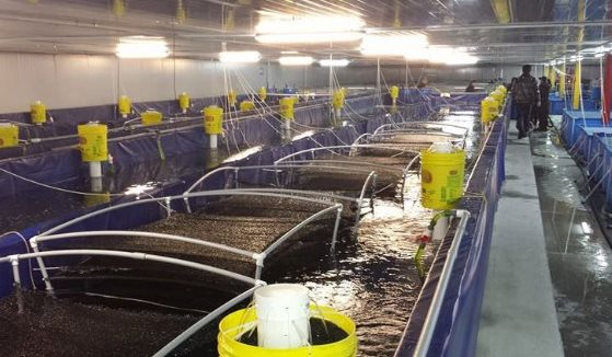 3 cường quốc của thế giới liên tục săn lùng mỏ vàng ngoài khơi của Việt Nam: Thu hơn 1,6 tỷ USD trong nửa đầu năm, nước ta là Á quân xuất khẩu toàn cầu - Ảnh 1