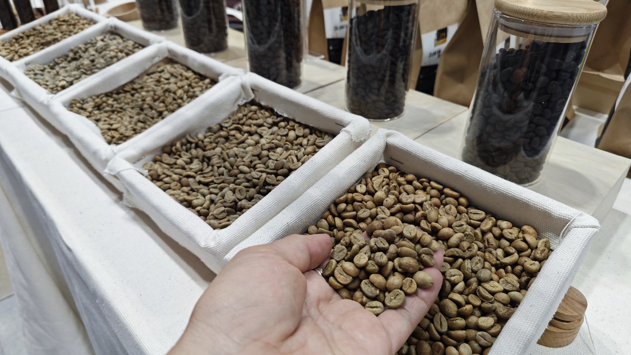 Sốc với giá cà phê Robusta - Ảnh 1