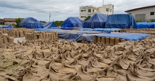 'Báu vật' nhà trồng được của Việt Nam sang Ukraine đắt như tôm tươi: Xuất khẩu tăng nóng 3.800%, toàn cầu đều đang tìm đến nước ta mua hàng