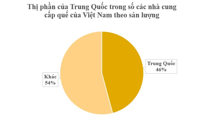 Loại cây lâu đời nhất thế giới từ Trung Quốc mang sang giúp Việt Nam trở thành ‘ông hoàng’ toàn cầu: Chỉ có rất ít quốc gia sở hữu, thu gần trăm triệu USD từ đầu năm - Ảnh 2
