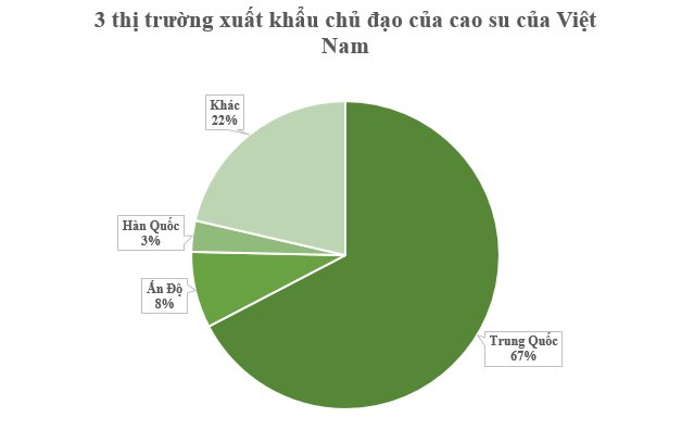 Loại cây quý mang về cho Việt Nam hơn 1 tỷ USD trong 6 tháng đầu năm: Ấn Độ, Hàn Quốc liên tục lùng mua, 1/10 sản lượng của thế giới đang nằm ở nước ta - Ảnh 3