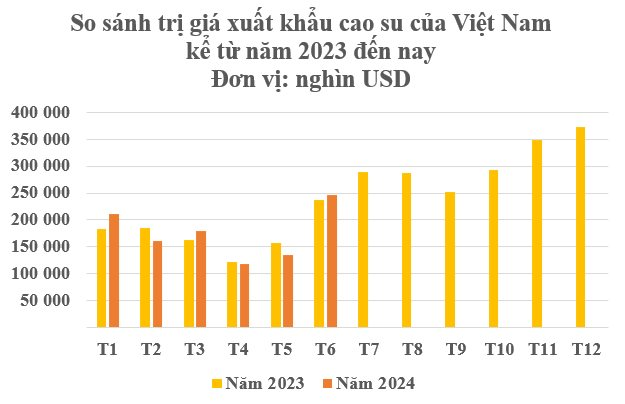 Loại cây quý mang về cho Việt Nam hơn 1 tỷ USD trong 6 tháng đầu năm: Ấn Độ, Hàn Quốc liên tục lùng mua, 1/10 sản lượng của thế giới đang nằm ở nước ta - Ảnh 2