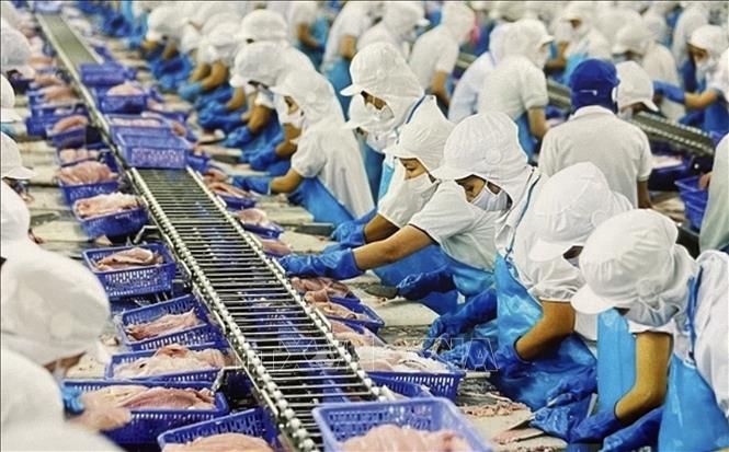 Xuất khẩu cá tra khởi sắc - Ảnh 1