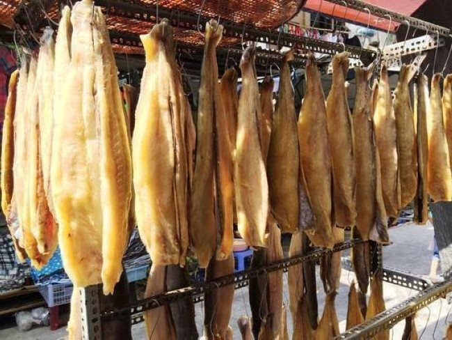 "Cá tỷ đô" của Việt Nam được Trung Quốc và Mỹ cực kỳ say mê: Dự kiến mang về 1,8 tỷ USD trong năm nay, sản lượng đứng đầu thế giới - Ảnh 1