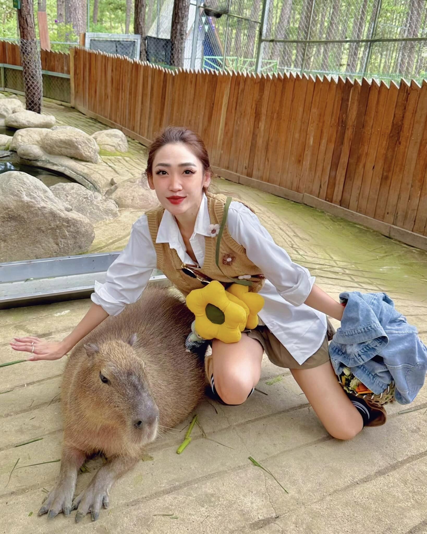 Vì sao chuột Capybara được giới trẻ Việt săn lùng, mê điên đảo? - Ảnh 4