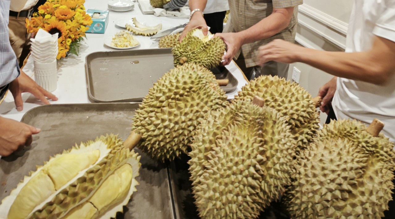 Vì sao giá sầu riêng Ri 6 và Monthong chênh lệch đến 40%? - Ảnh 1