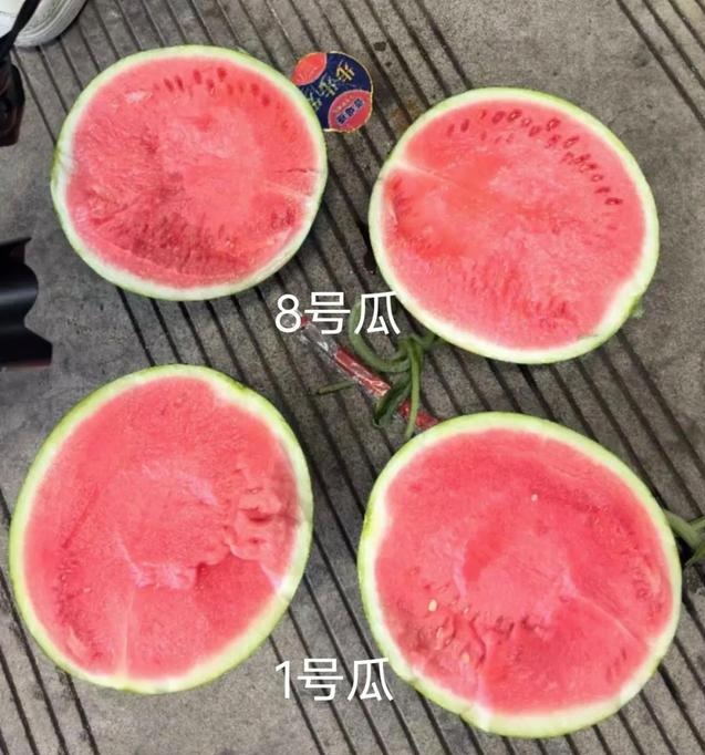 Chọn dưa hấu ngon ngọt bằng AI: Tin được không? - Ảnh 2