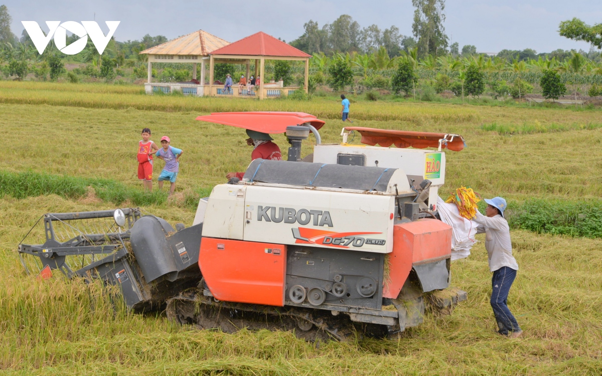 Giải pháp thúc đẩy xuất khẩu 6 tháng cuối năm 2024 - Ảnh 2