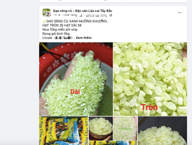 Trưởng Phòng Nông nghiệp: "Tôi cũng khó mua được gạo Séng Cù Mường Khương thật" - Ảnh 1