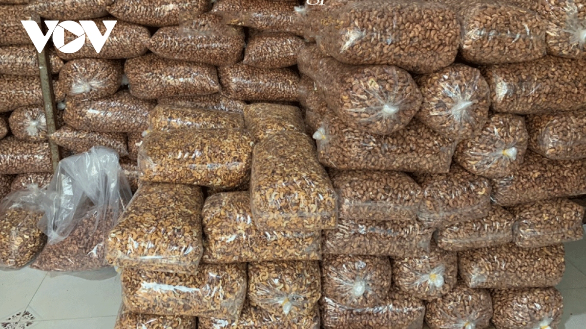 Hạt điều Bình Phước giả mạo tràn lan trên thị trường - Ảnh 1