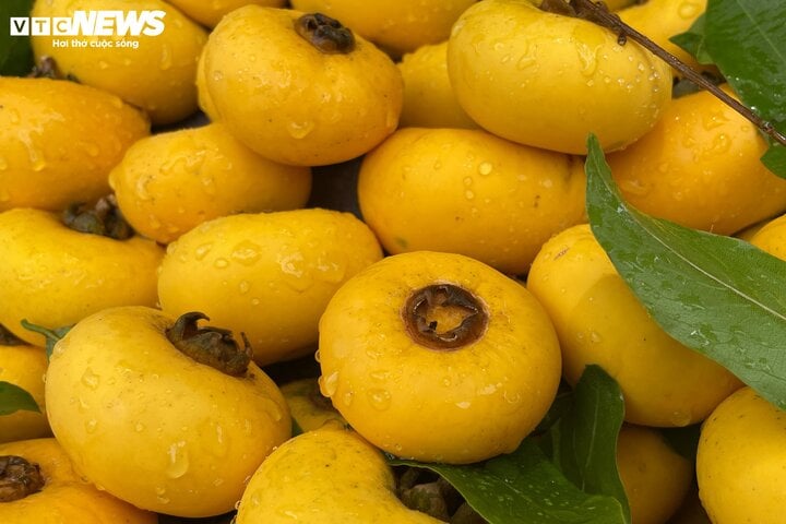 Khách lùng mua, thị sáp đầu mùa giá siêu đắt vẫn 'cháy hàng' - Ảnh 2