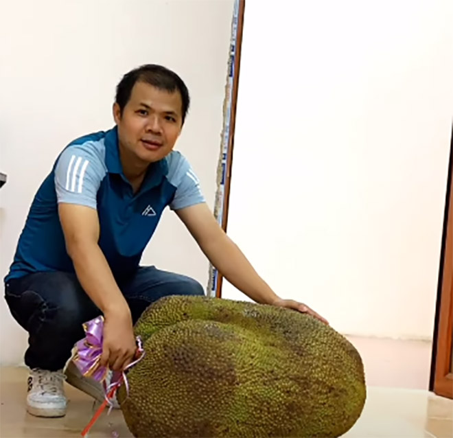 Bên trong quả mít 56kg ở Lạng Sơn: Tiết lộ thú vị từ người vinh dự được bổ mít - Ảnh 1